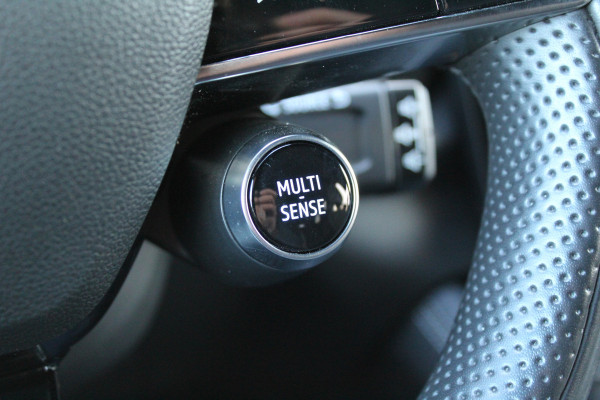 Renault Espace E-Tech full hybrid 200 techno 7p. | Trekhaak | Adaptieve Cruise | BLIS | 360 Camera | Google