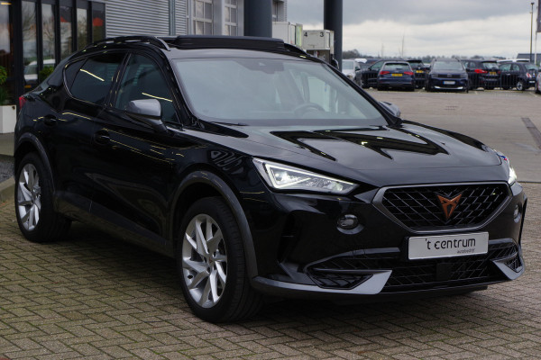 CUPRA Formentor 1.4 e-Hybrid 204 PK Business PHEV, Panoramadak, Groot-Navigatie, Adap. Cruise Control