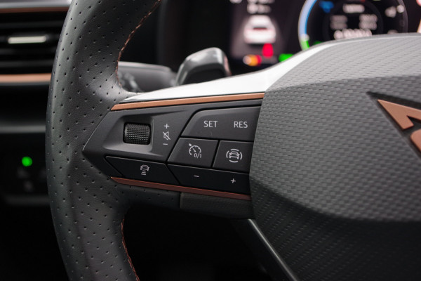 CUPRA Formentor 1.4 e-Hybrid 204 PK Business PHEV, Panoramadak, Groot-Navigatie, Adap. Cruise Control