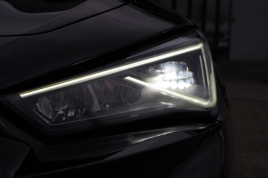 CUPRA Formentor 1.4 e-Hybrid 204 PK Business PHEV, Panoramadak, Groot-Navigatie, Adap. Cruise Control