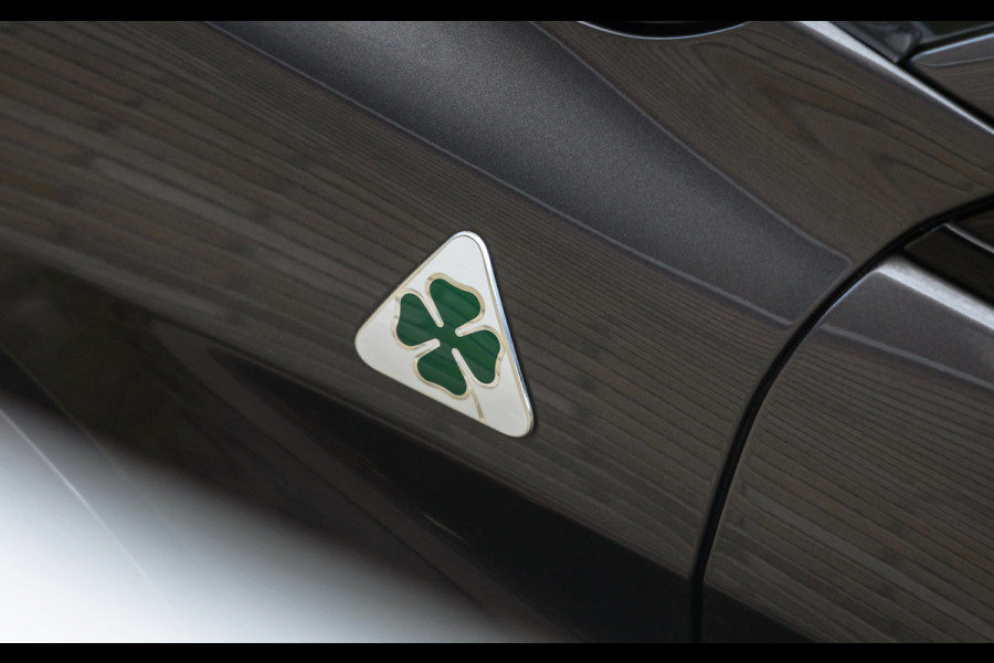 Alfa Romeo Stelvio Quadrifoglio 2.9 V6 510PK AWD | Harman Kardon | Adaptieve Cruise Control | Schuif/Kanteldak