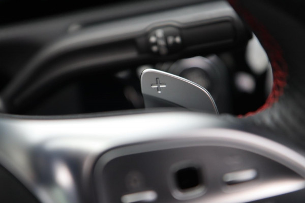 Mercedes-Benz A-Klasse 250 AMG / PANODAK / MEMORY / BURMESTER / DEALER SERVICE