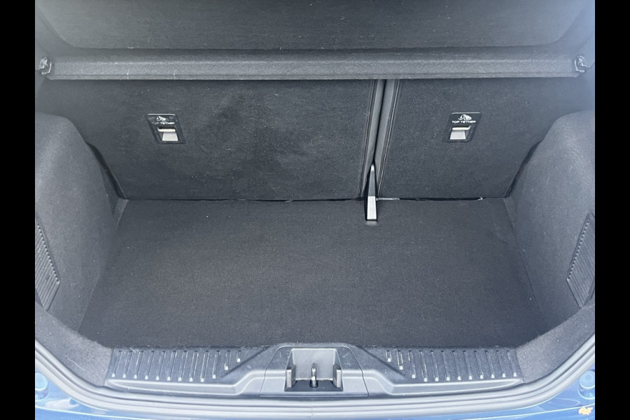 Ford Fiesta EcoB. ST-Line WINTERPACK/TREKHAAK