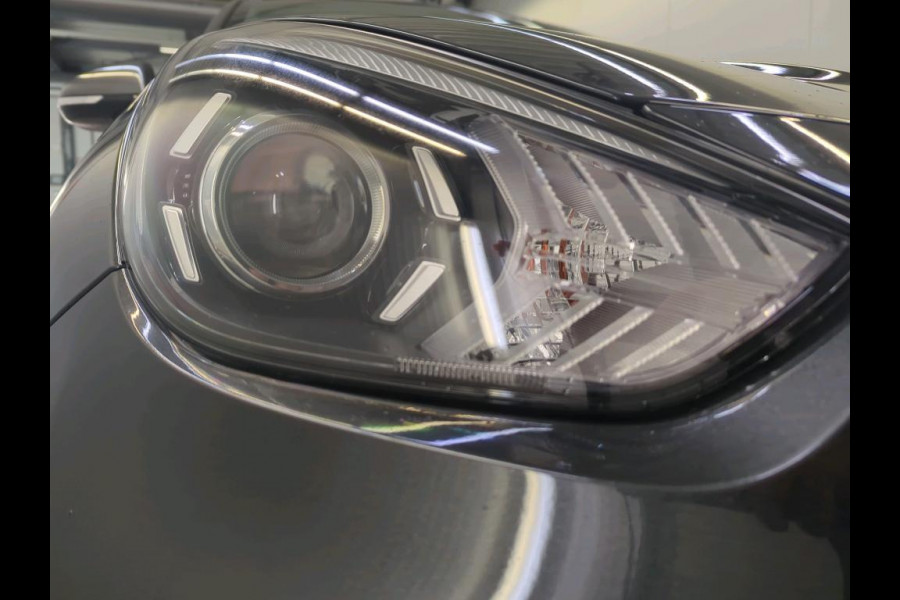 Kia e-Niro Edition 64 kWh | Navi | Camera | Led |