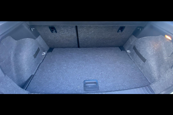 Seat Ibiza 1.0 TSI FR Autom. Bus. Intense Pano/ Beats/ LED/ Privacyglass