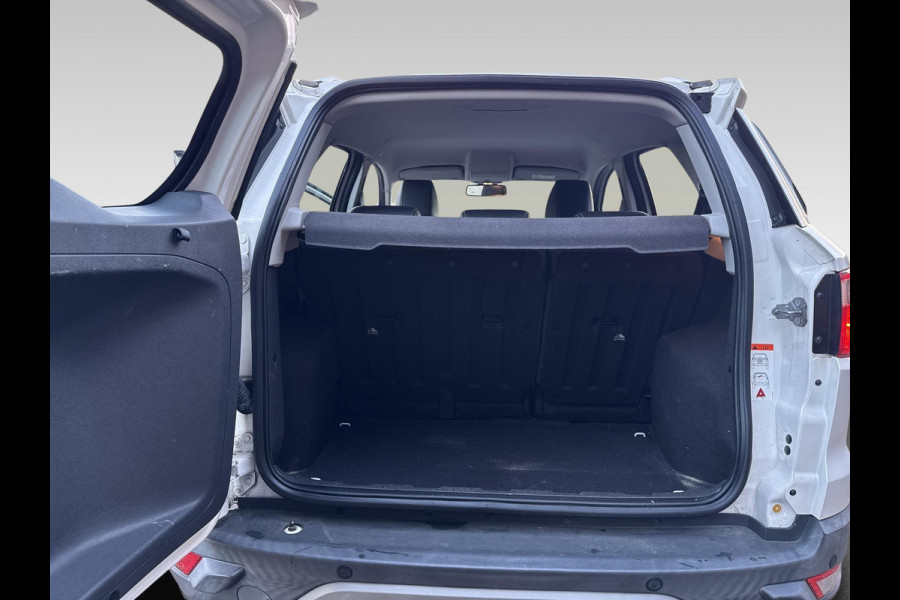 Ford EcoSport 1.0 EcoBoost Titanium Stoel verwarming / elektrische voorruit verwarming / achteruit rij camera/