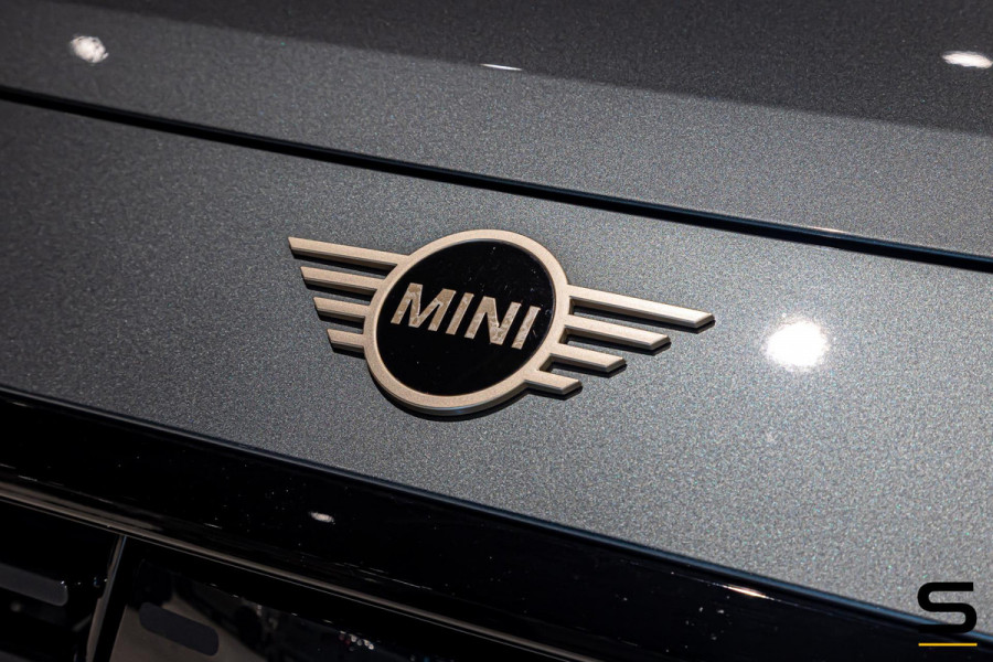 MINI Countryman 2.0 S ALL4|Trekhaak|HUD|Leder|Cam|1eig