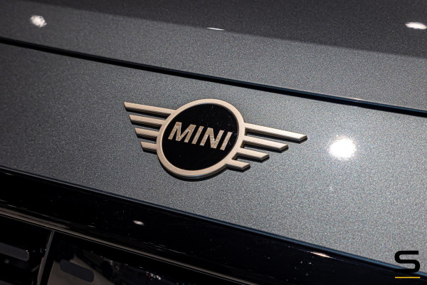 MINI Countryman 2.0 S ALL4|Trekhaak|HUD|Leder|Cam|1eig