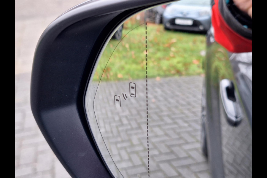 Lexus RX 450h+ AWD Executive Line | Panoramadak, 21 inch, Dodehoekherkenning, Memory, Stoelventilatie, Stuurverwarming