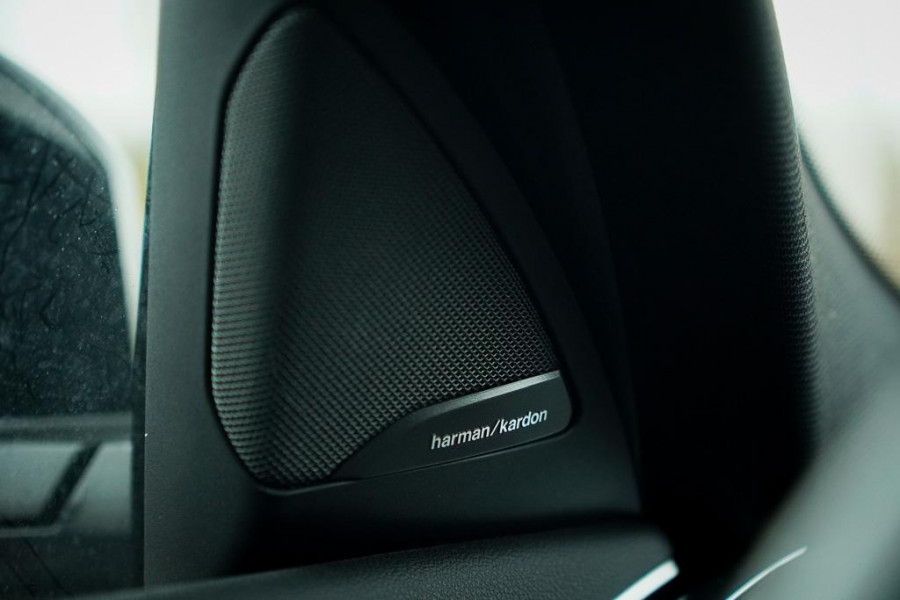 BMW X4 xDrive30i High Executive M-Sport / Pano / Harman Kardon / Trekhaak