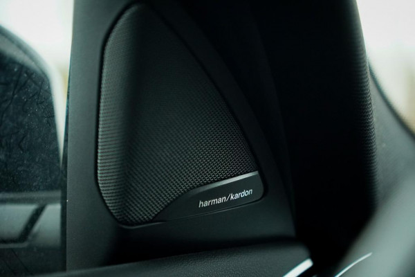 BMW X4 xDrive30i High Executive M-Sport / Pano / Harman Kardon / Trekhaak