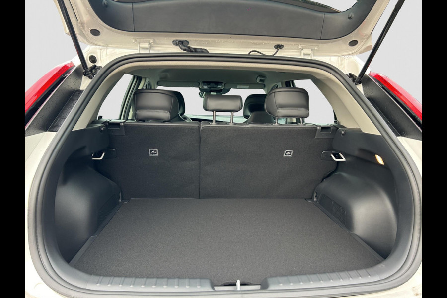 Kia Niro EV DynamicLine 64.8 kWh Direct uit voorraad leverbaar l Navigatiesysteem full map | DEMO |