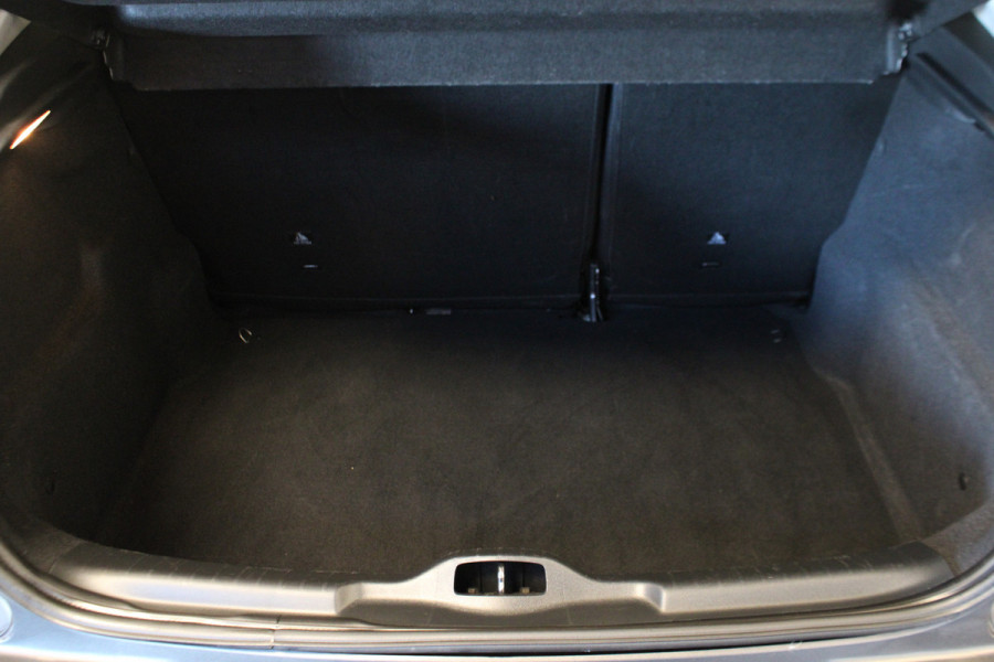 Citroën C4 Cactus 1.2 PureTech Feel pano | Navi