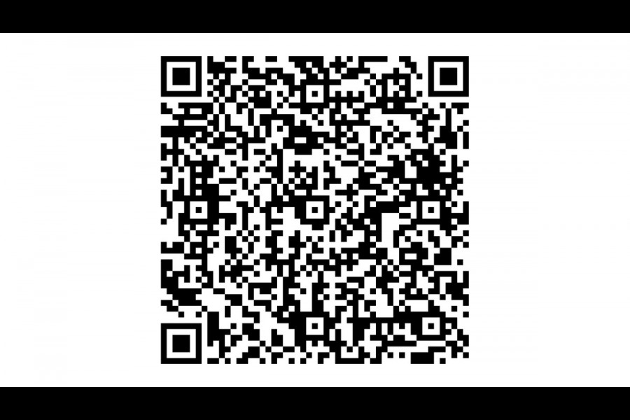 Land Rover Discovery Sport P270e PHEV Dynamic SE ACC/Meridian 5jr garantie Trekhaak Panoramadak