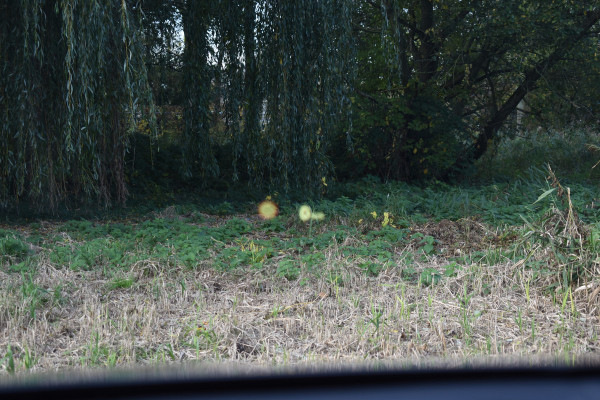 BMW X2 M35iA 306PK HIGH EXECUTIVE M-SPORT HARMAN-KARDON/CAMERA/PANORAMADAK