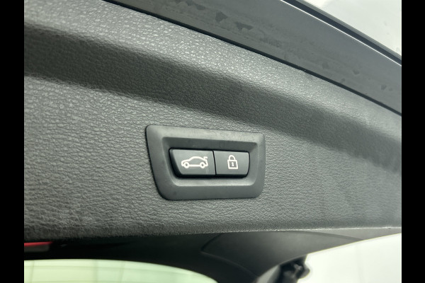 BMW X2 SDrive20i High Executive M-Sport (Dealer OndH, Panorama, StoelV, Navi Pro, Kuipstoelen, Parkeerhulp, Etc)