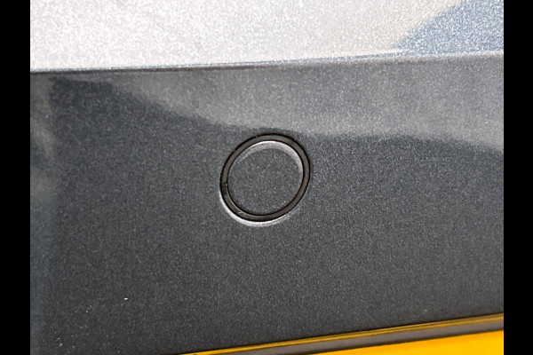 Seat Ibiza 1.0 TSI FR Business Intense Pano/dak Beats/Audio Achteruitrijcamera Trekhaak Origineel NL