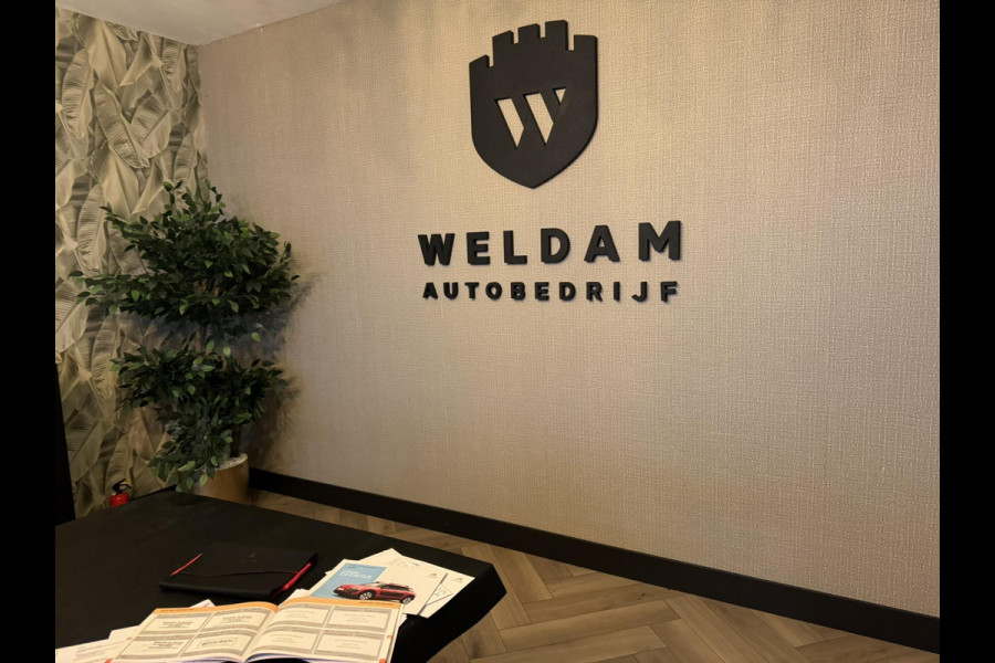 Citroën C4 Cactus 1.2 PureTech Business Garantie Trekhaak Cruise Navi Clima Led Rijklaar