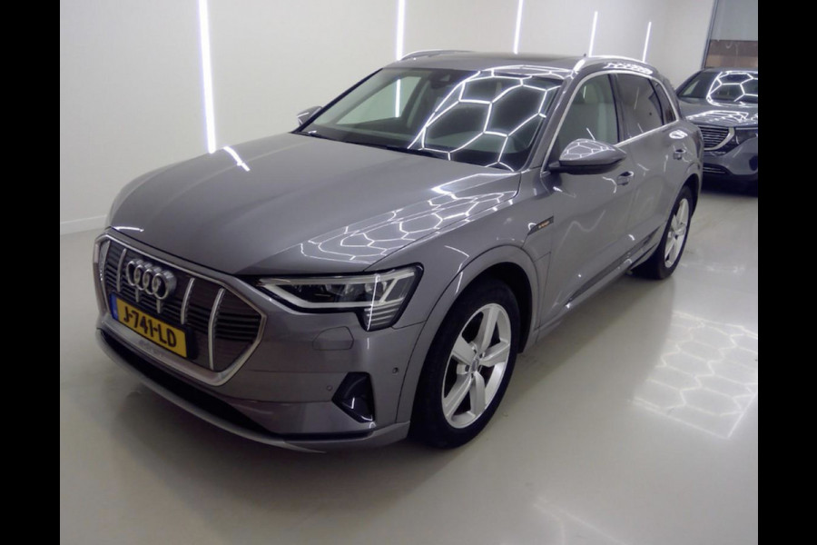 Audi e-tron E-tron 50 quattro Launch edition plus 71 kWh (WORDT VERWACHT)