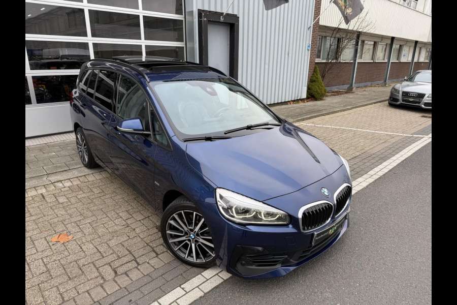 BMW 2 Serie Gran Tourer 220i 7p. High Executive Launch Edition