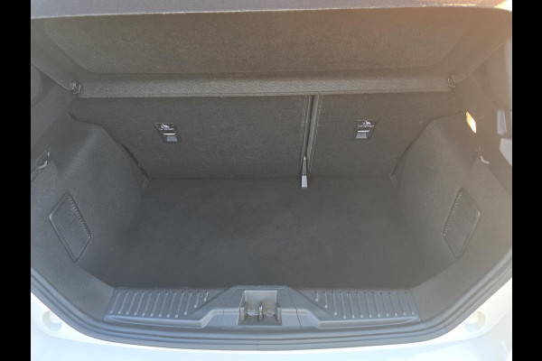 Ford Fiesta 1.0 EcoBoost Hybrid ST-Line X | Adaptive cruise control | Winter Pack | Dodehoeksensoren | Full-LED koplampen | Achteruitrijcamera | Draadloze telefoonlader | Privacy glass