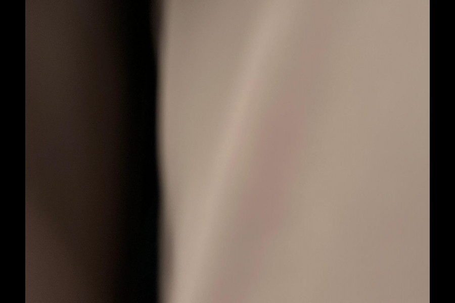 Peugeot 208 1.2 PureTech GT-Line NL-AUTO | PANODAK | CAMERA