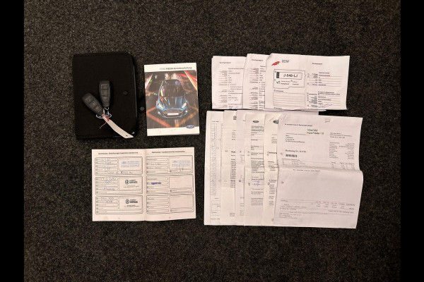 Ford Fiesta 1.0 EcoBoost Titanium Navigatie Camera Climate/control