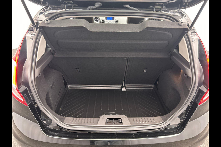 Ford Fiesta 1.0 EcoBoost Titanium Navigatie Camera Climate/control