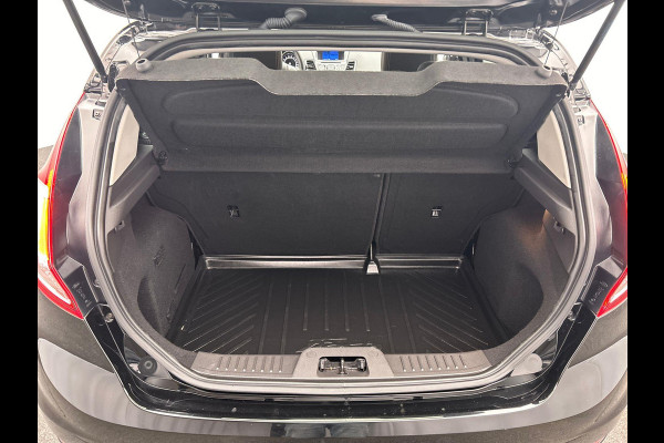 Ford Fiesta 1.0 EcoBoost Titanium Navigatie Camera Climate/control