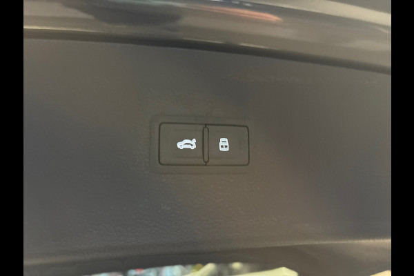 Audi Q5 50 TFSI e quattro S edition/S-line/navi/camera/trekhaak/elc stoelen