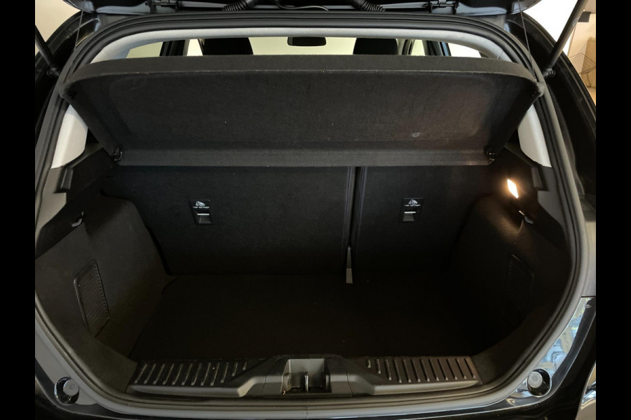 Ford Fiesta 1.0 EcoBoost Hybrid Titanium X 125PK MILD HYBRID AIRCO NAVI CRUISE APPLE CARPLAY VELGEN NIEUWSTAAT