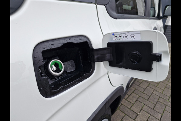 Fiat Panda 1.0 Hybrid Cross Pandina