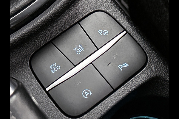 Ford Fiesta 1.0 EcoBoost Titanium Business (B&O SOUND, CAMERA, CARPLAY, 1e EIGENAAR, PARKEERSENSOREN, GOED ONDERHOUDEN))