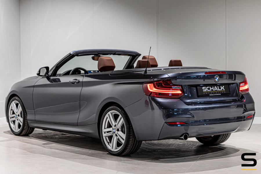 BMW 2 Serie Cabrio 218i High Executive|NAP|Leder|Dealer ond|