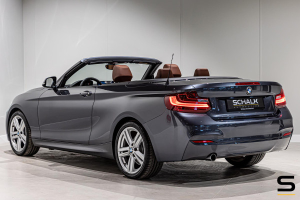 BMW 2 Serie Cabrio 218i High Executive|NAP|Leder|Dealer ond|