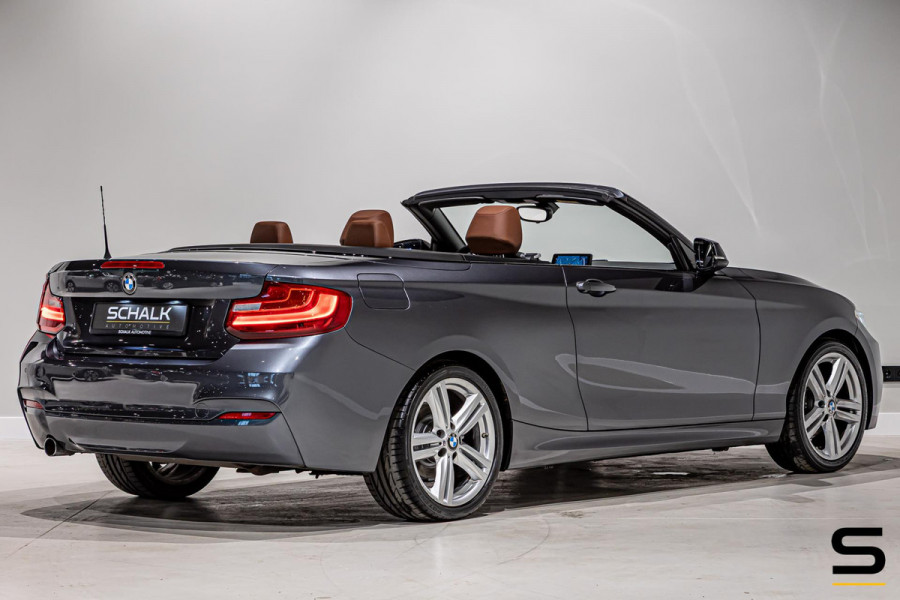 BMW 2 Serie Cabrio 218i High Executive|NAP|Leder|Dealer ond|