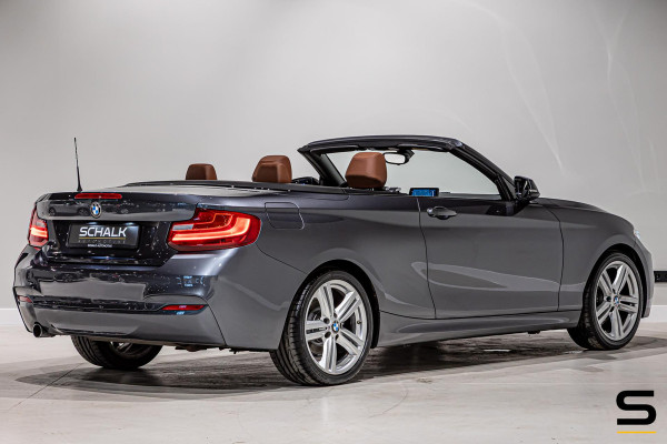 BMW 2 Serie Cabrio 218i High Executive|NAP|Leder|Dealer ond|