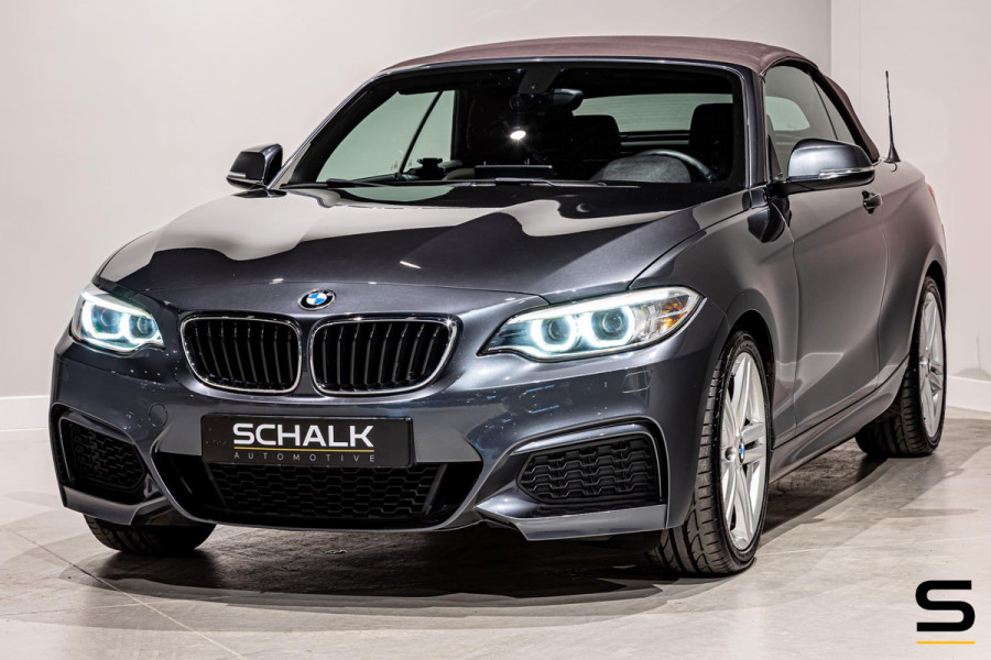 BMW 2 Serie Cabrio 218i High Executive|NAP|Leder|Dealer ond|