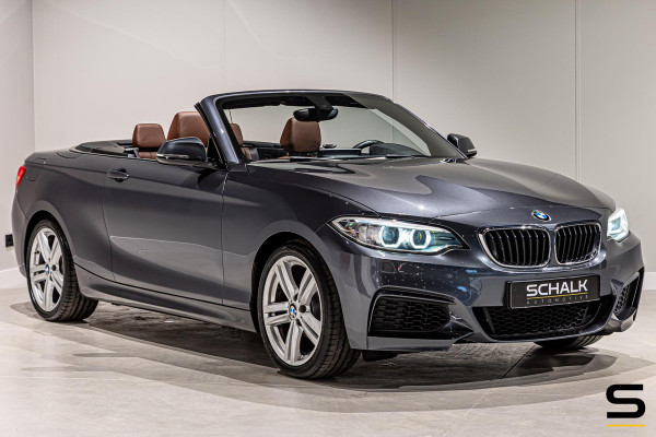 BMW 2 Serie Cabrio 218i High Executive|NAP|Leder|Dealer ond|