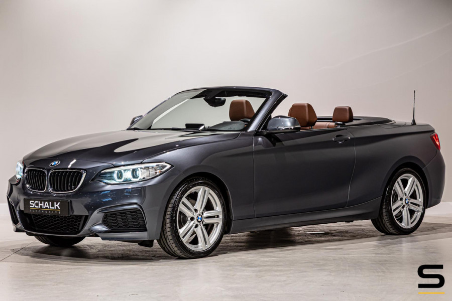 BMW 2 Serie Cabrio 218i High Executive|NAP|Leder|Dealer ond|