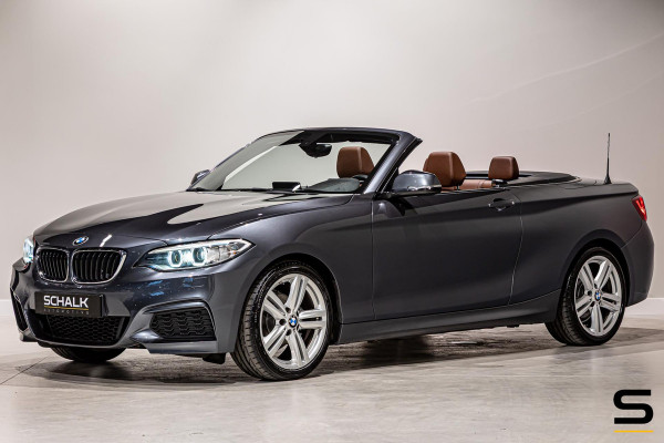 BMW 2 Serie Cabrio 218i High Executive|NAP|Leder|Dealer ond|