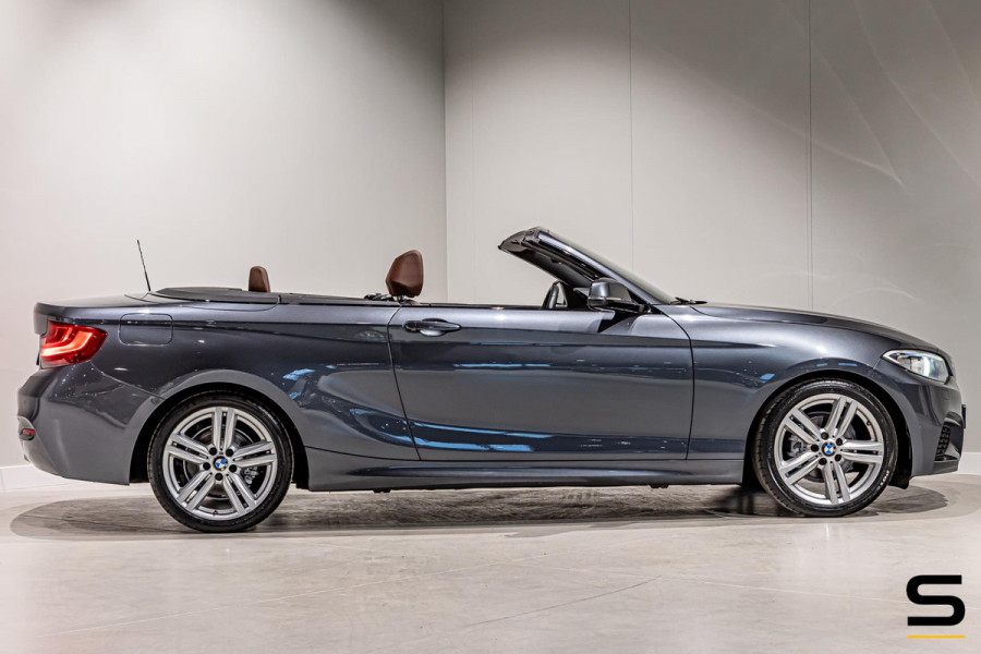 BMW 2 Serie Cabrio 218i High Executive|NAP|Leder|Dealer ond|