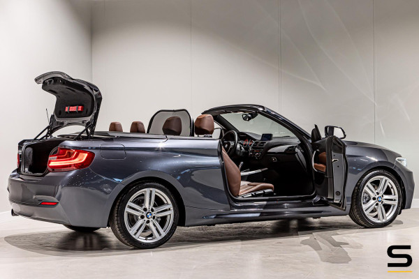 BMW 2 Serie Cabrio 218i High Executive|NAP|Leder|Dealer ond|
