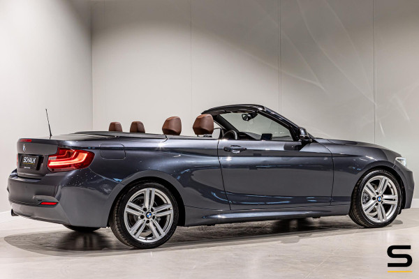 BMW 2 Serie Cabrio 218i High Executive|NAP|Leder|Dealer ond|