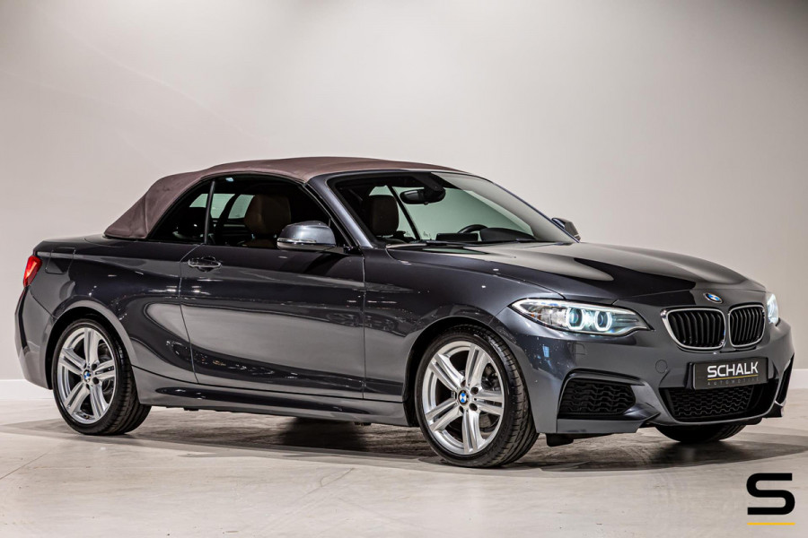 BMW 2 Serie Cabrio 218i High Executive|NAP|Leder|Dealer ond|
