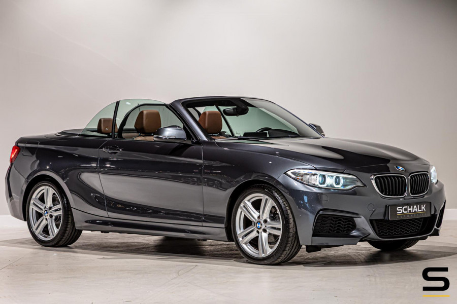 BMW 2 Serie Cabrio 218i High Executive|NAP|Leder|Dealer ond|