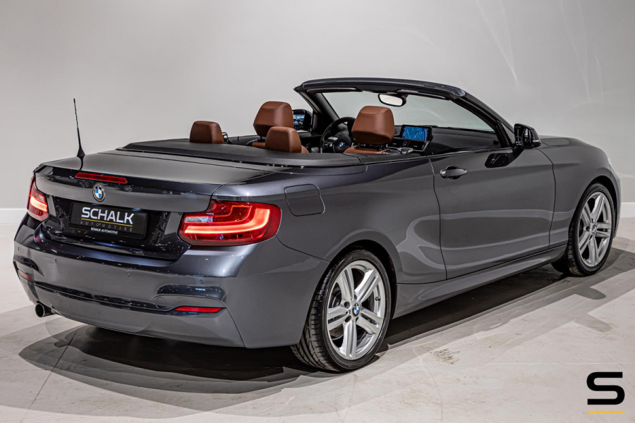 BMW 2 Serie Cabrio 218i High Executive|NAP|Leder|Dealer ond|