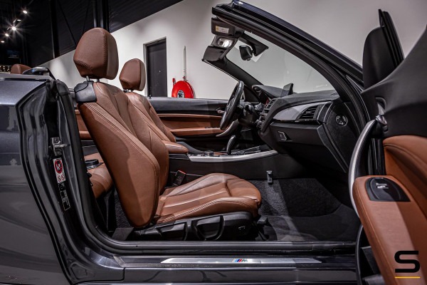 BMW 2 Serie Cabrio 218i High Executive|NAP|Leder|Dealer ond|