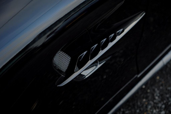 Mercedes-Benz AMG GT 4.0 R