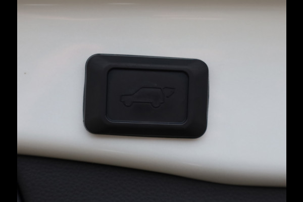 Toyota RAV4 2.5 Hybrid Bi-Tone | Panoramadak | JBL Audio | Treeplanken